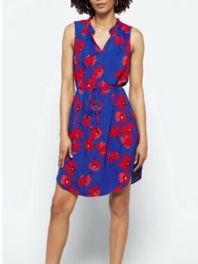 41 Hawthorn Blue & Red Floral Sleeveless Tie Waist Dress | Size Small